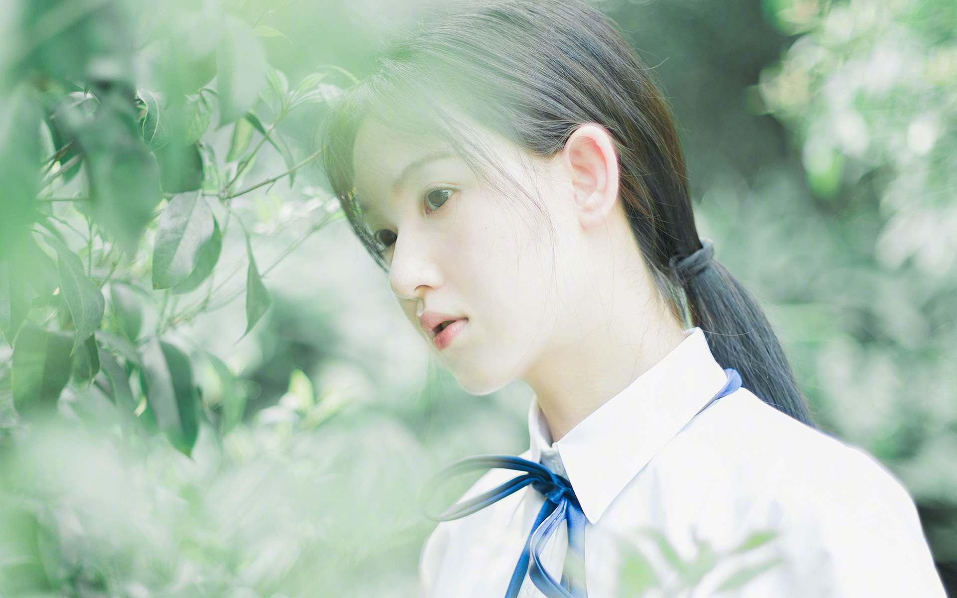 随机德国马术协会推出马术运动员心理辅导项目，提升竞技表现。，马术德国队