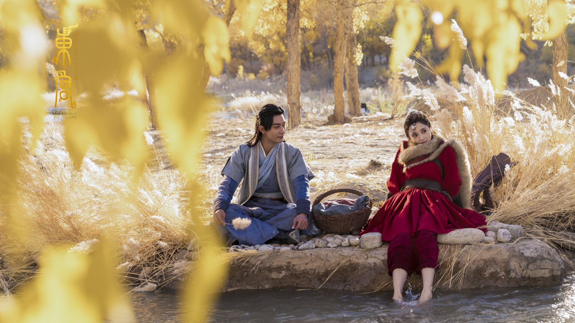 随机篮球青少年培训体系标准化推进，青少年篮球培训课程设计