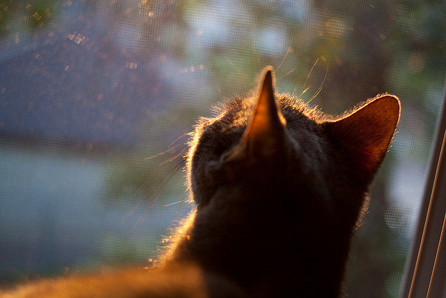 随机中国女排U20世锦赛强势出线，小组赛全胜晋级，世界女排u20