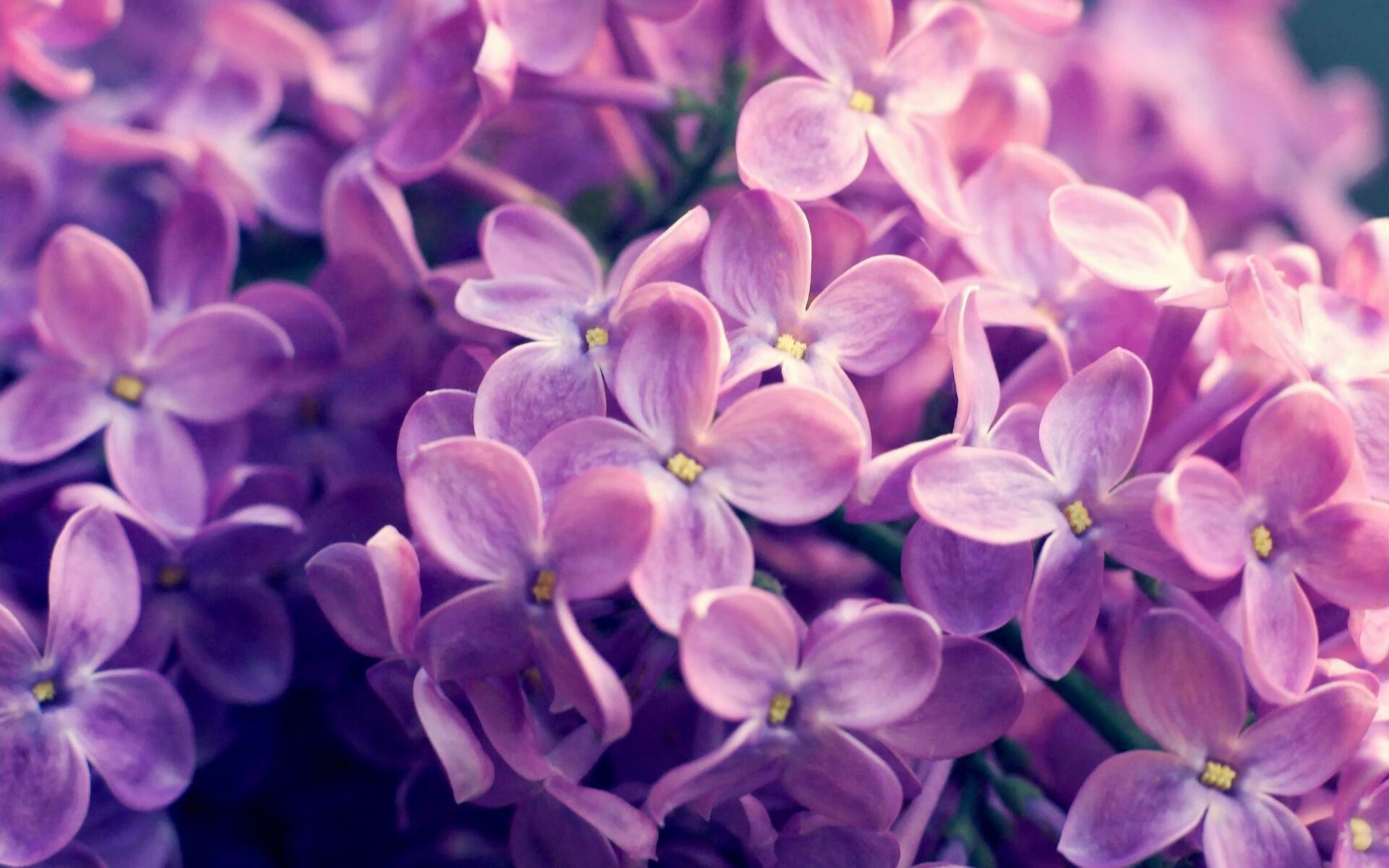 随机巴萨后卫出色发挥，连续场零封对手，巴萨 后卫