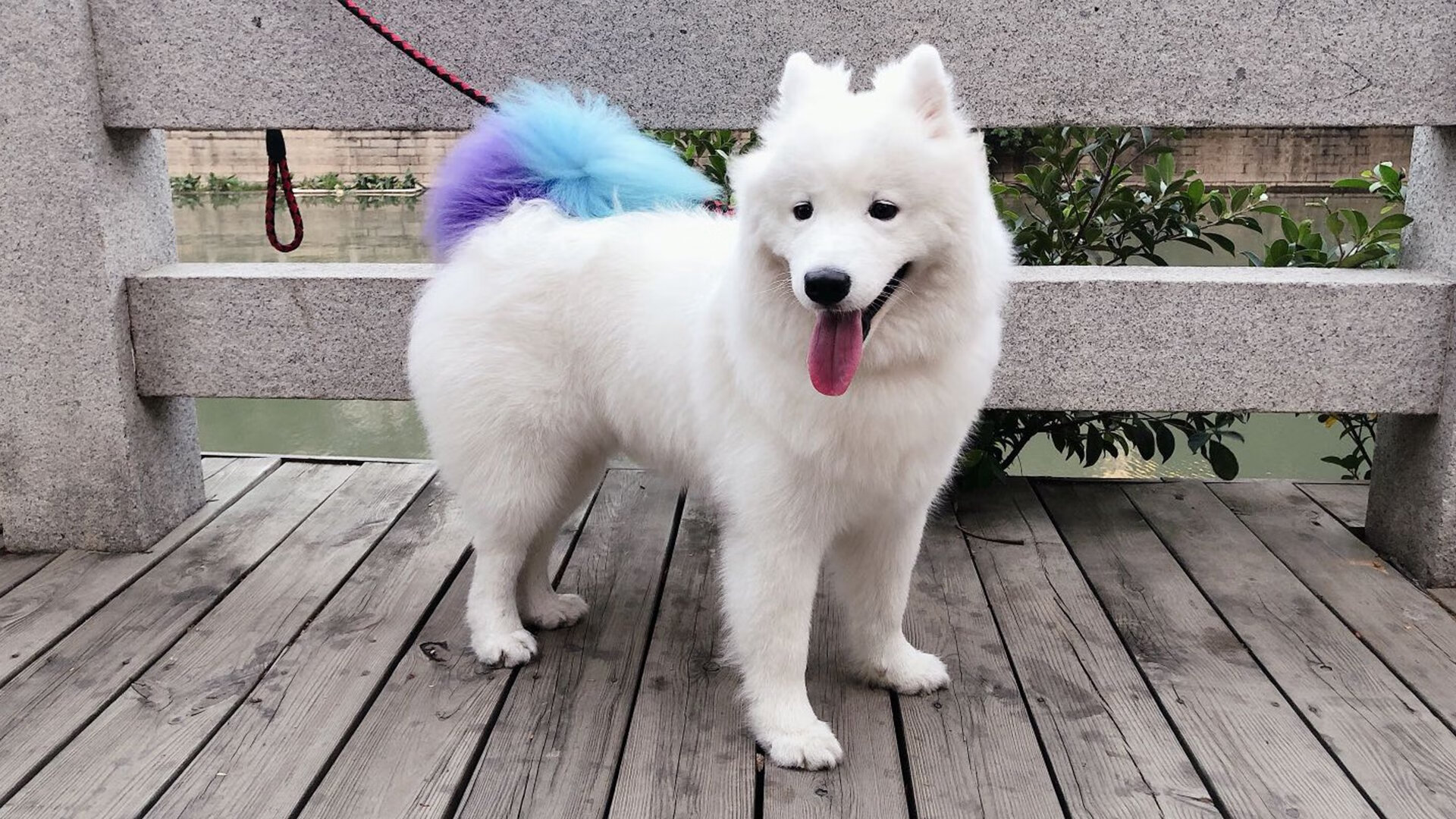 随机张三归队，球队声势大涨迎战CBA新赛季，张三战绩