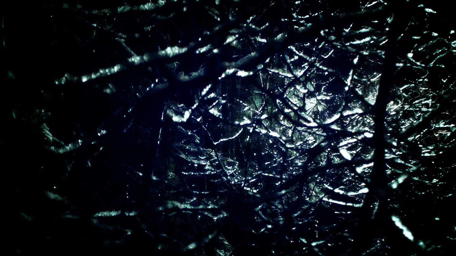 开云官方网页登录-江苏龙球队整体配合默契，江苏龙cba