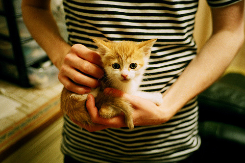 开云·体育官网-澳洲球队在国际篮球比赛中表现抢眼，澳洲篮球推荐