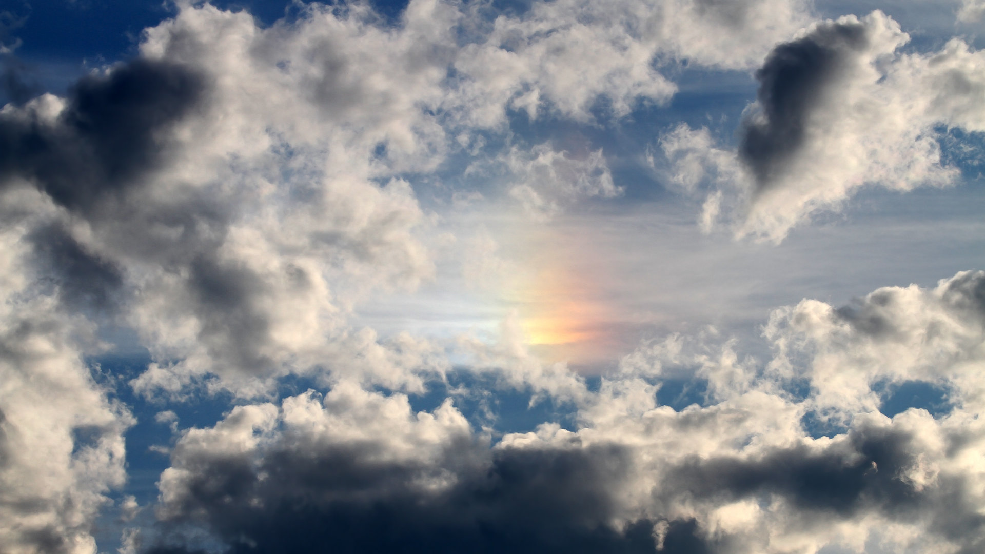 开云·Kaiyun网页版-石油人新援快速融入球队，石油人石油魂