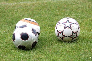 开云体育在线赛事直播-未来足球市场：数字资产与足球产业的融合，足球概念数字货币