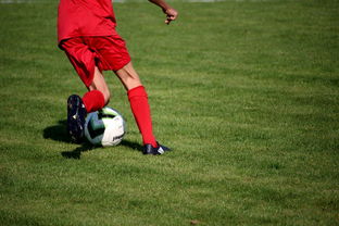 开云·体育官方网站入口-篮球运动员心理韧性培养及心理干预体系建设，篮球运动员心理素质的重要性