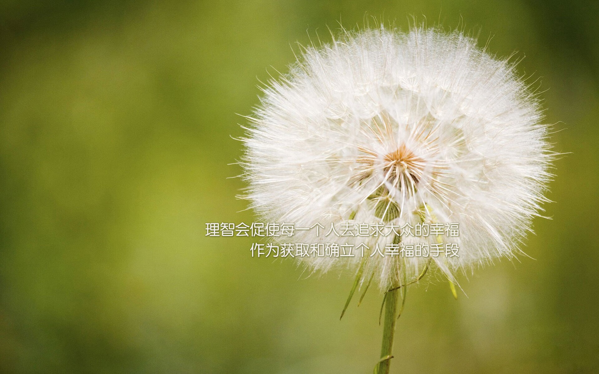 开云官网APP下载-世界级足球明星今昔对比，展现成长轨迹，世界足球明星50名名字